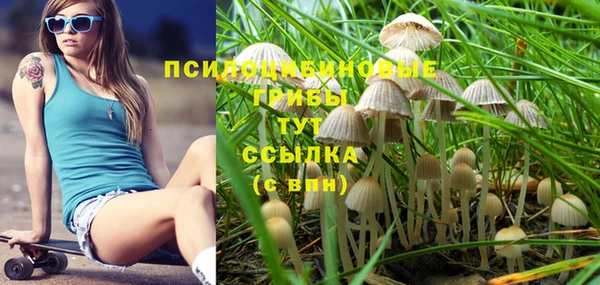 mdpv Заволжье