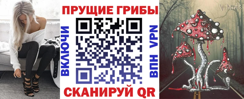 Галлюциногенные грибы Cubensis  Купить  Ельня 